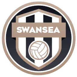 Swansea City