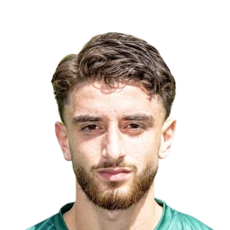 DLS 24