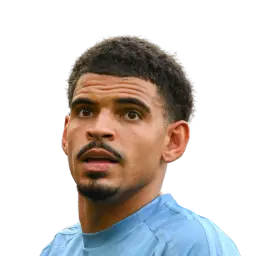 DLS 25