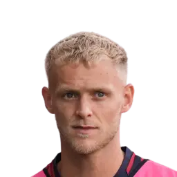 DLS 25